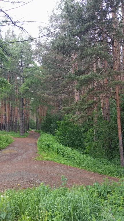 Просторный таунхаус в сосновом бору