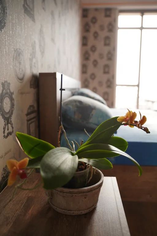 Квартира Квартира с великолепным видом на всю Геленджикскую бухту — Геленджик