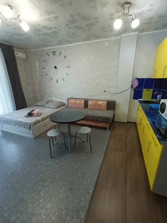 Студия в Новом свете