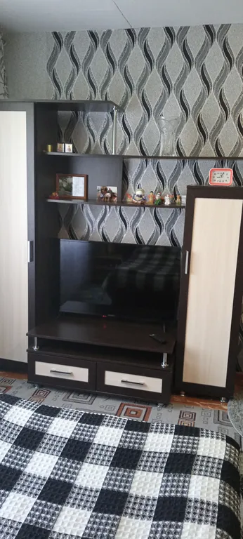 1-комнатная Квартира — аренда посуточно в Пушкинские Горы