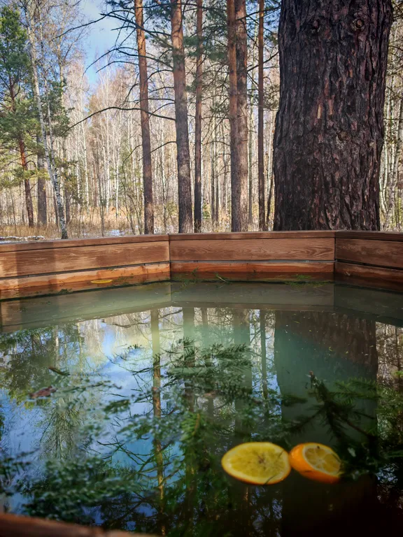 Коттедж Дом с чаном — Екатеринбург