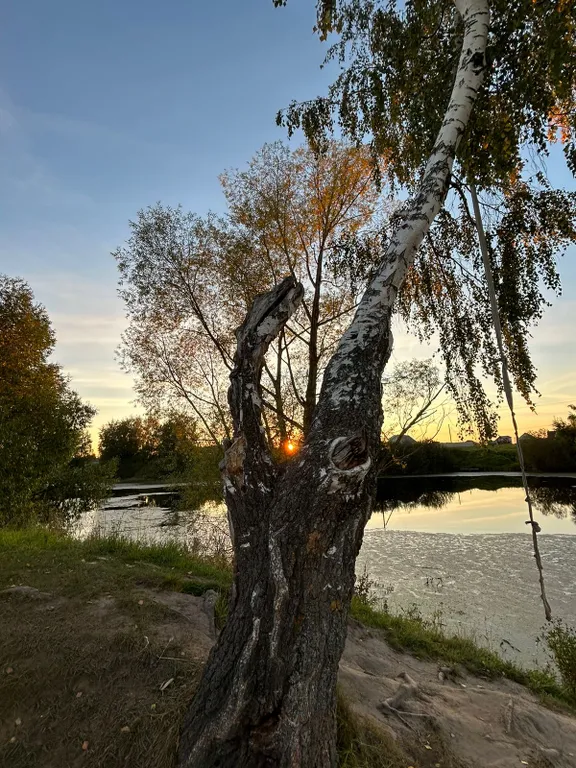 Домик Сказка