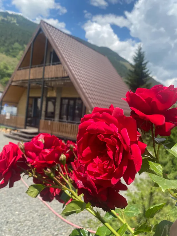 Дом в стиле а-фрейм