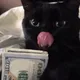Никита
