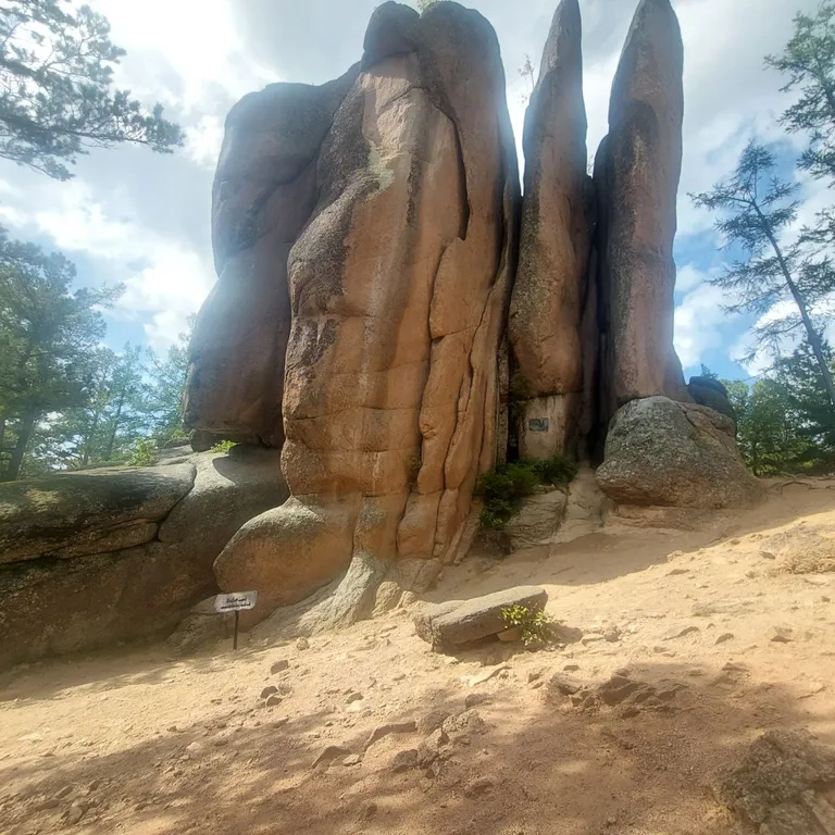 Трёхкомнатная в центре, Дворец Ярыгина, отчетные документы