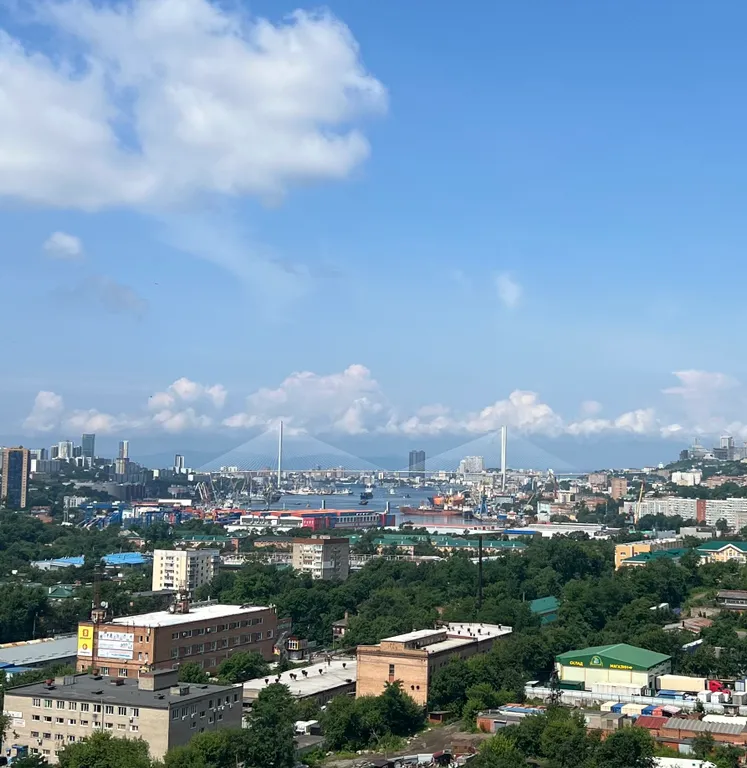 Квартира Квартира с видом на вантовый мост — Владивосток