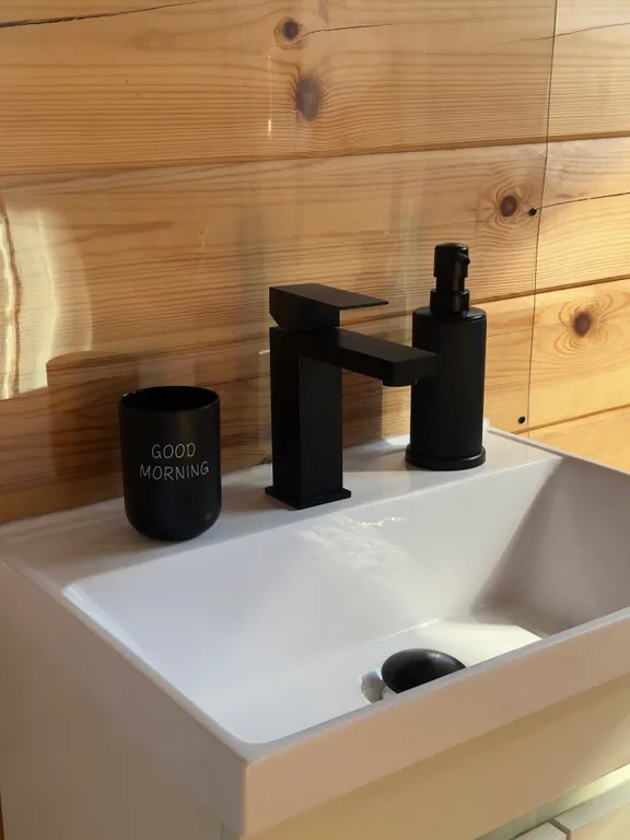 Дом Зивчала, на берегу реки Олонка