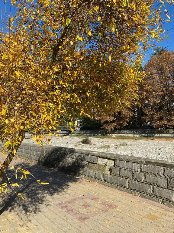 Best apartment in Khosta