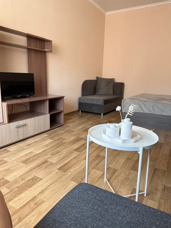 Квартира с видом на стадион Краснодар