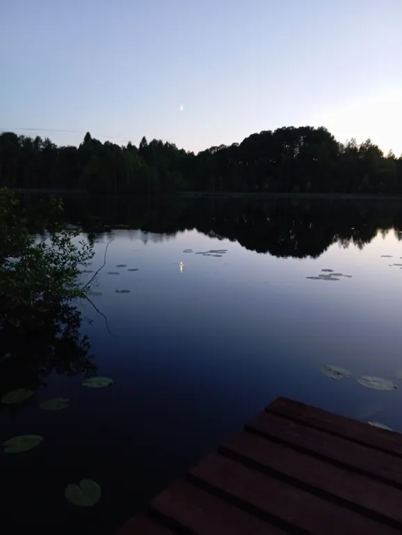 Деревянный дом, на берегу меличуярви, на краю леса в карельском селе