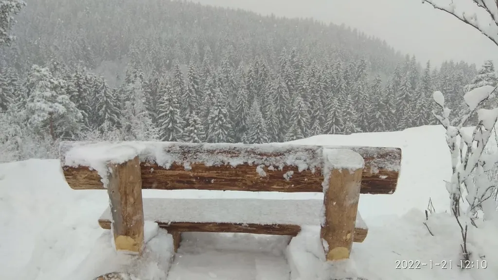 Берлога люкс, коттедж с банным чаном для отдыха с видом на лес и скалы