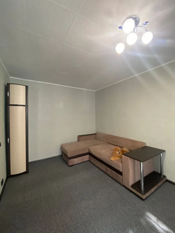 Квартира без Тараканов