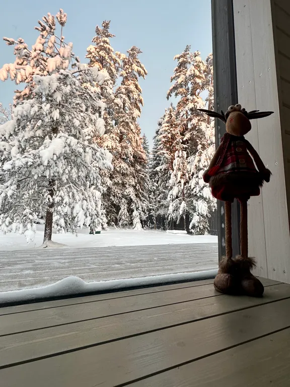 Рай интроверта