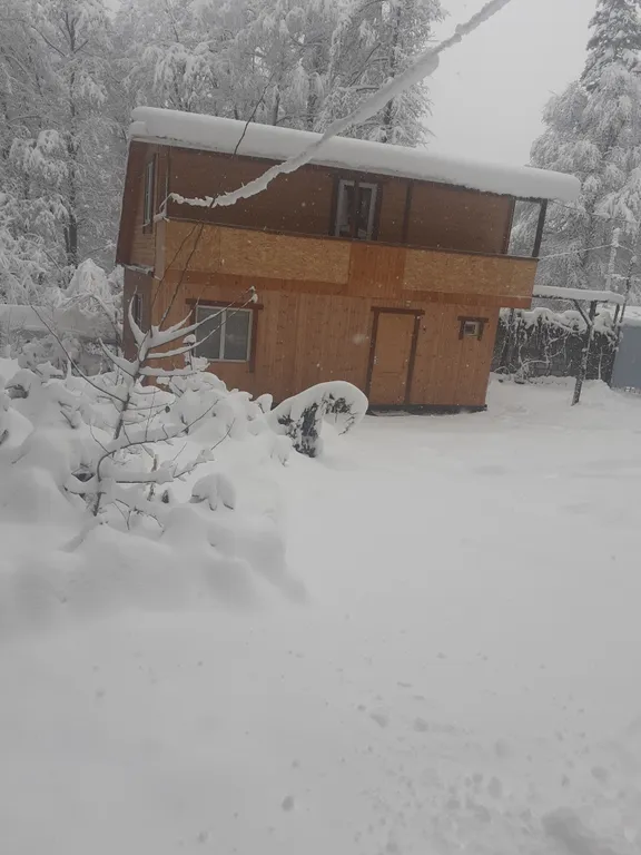 Новый дом в лесу Хатипара