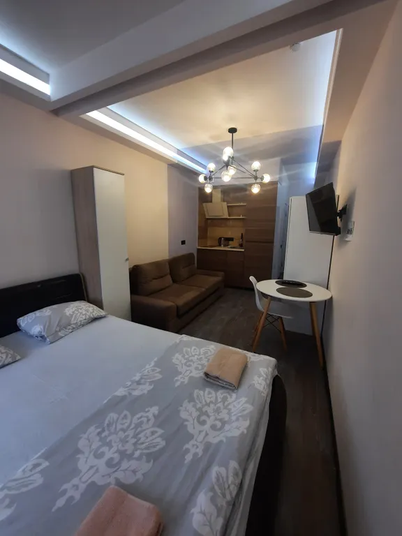 Квартира Дизайнерская студия — аренда посуточно в Красногорск