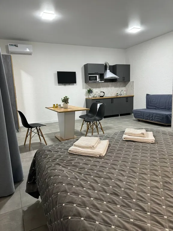 Новые семейные апартаменты, двор, мангал