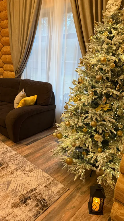 Загородный дом Сосновый бор