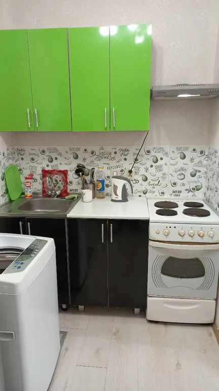 Уютная квартира около метро Девяткино, в доме все магазины — аренда посуточно в Мурино