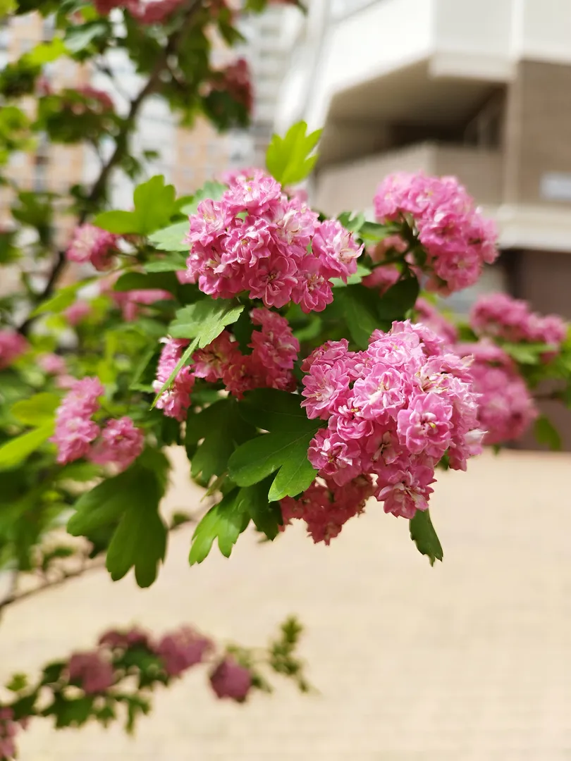 Фото