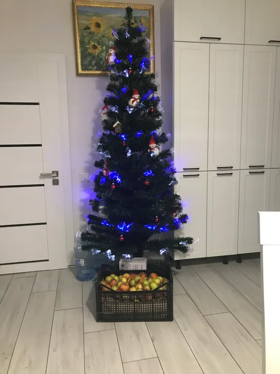 Немецкий дом с садом