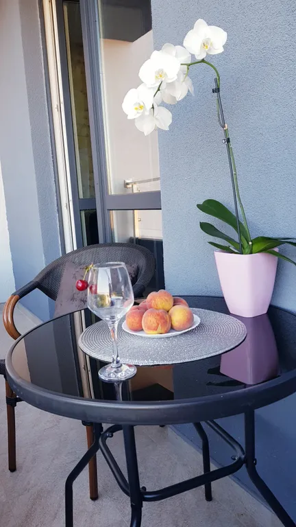 Уютная квартира с видом на лес в центре Светлогорска-2