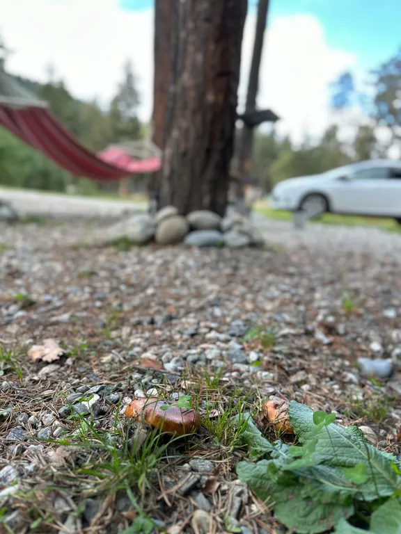 Коттедж Домик с видом на озеро — Архыз