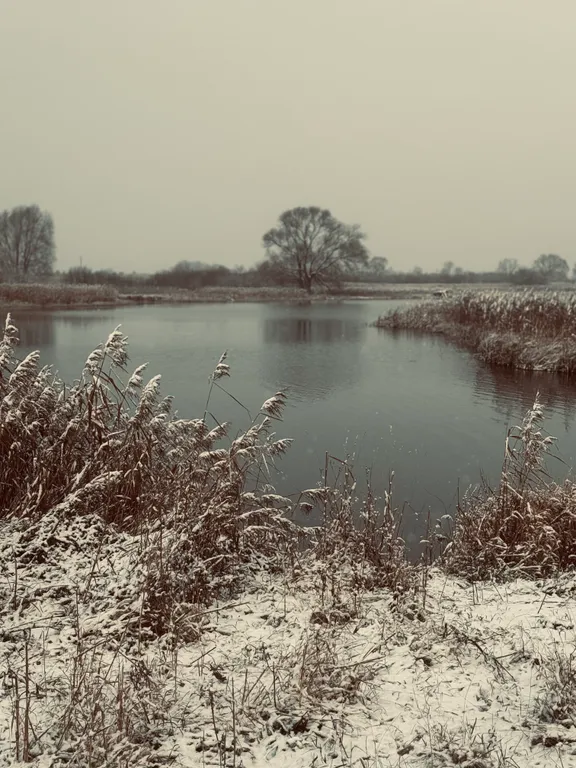 Гостевой дом с камином и террасой