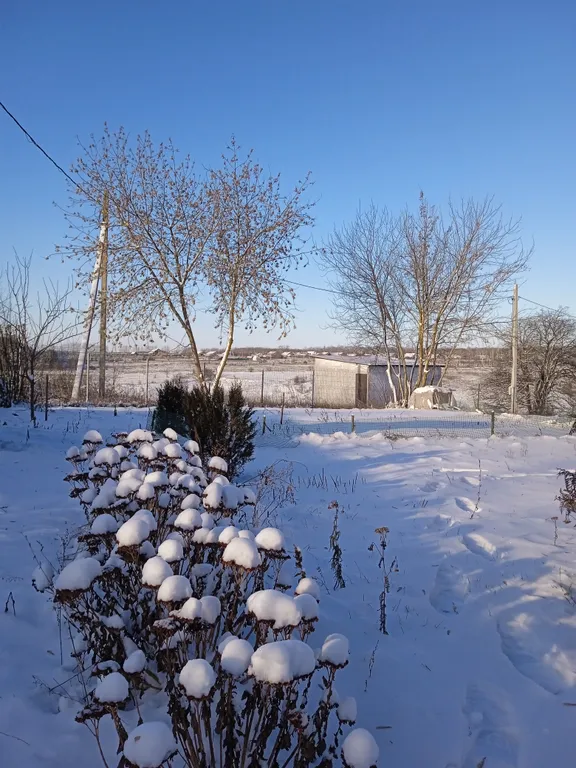 Тихий отдых