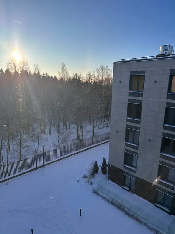 Студия на Новый Год в Курортном районе