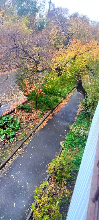 Большая квартира в центре города