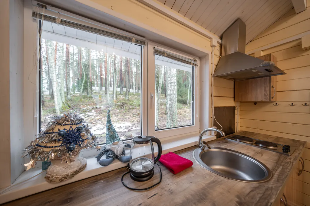 Малый коттедж у леса