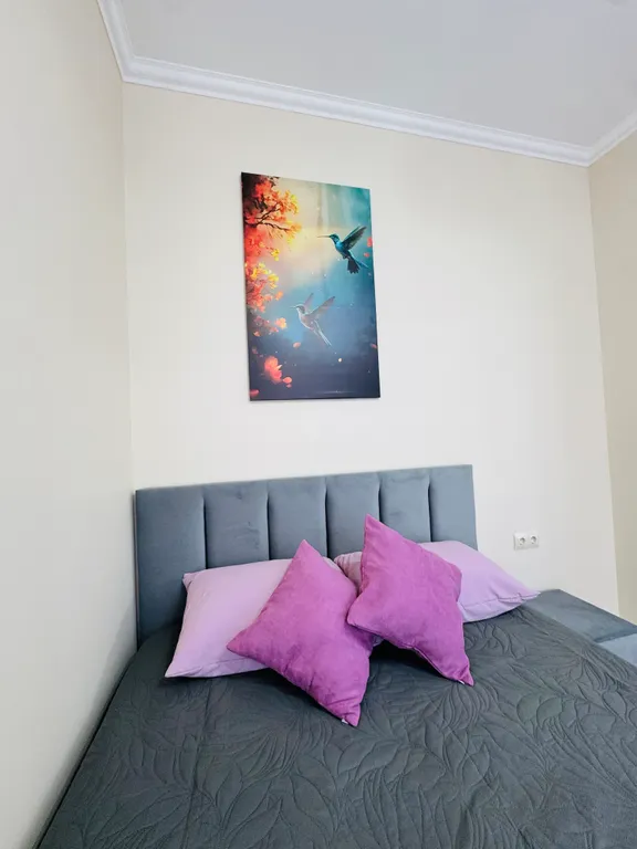 Квартира 1-комнатная Квартира — Сириус