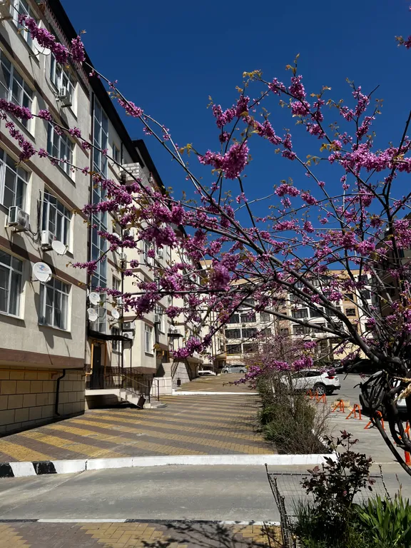 Уютная 1-комнатная квартира в курортном поселке