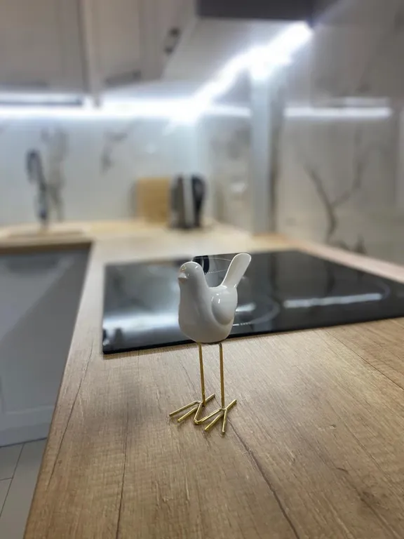 Уютная студия в центре города