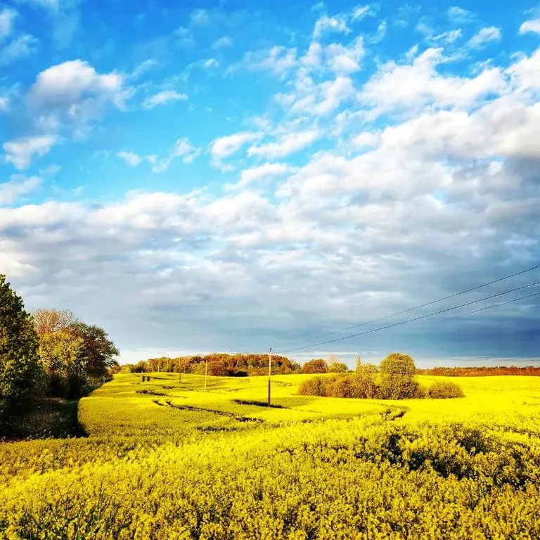 Квартира Квартира Apartments Castle Ruins — Калининград