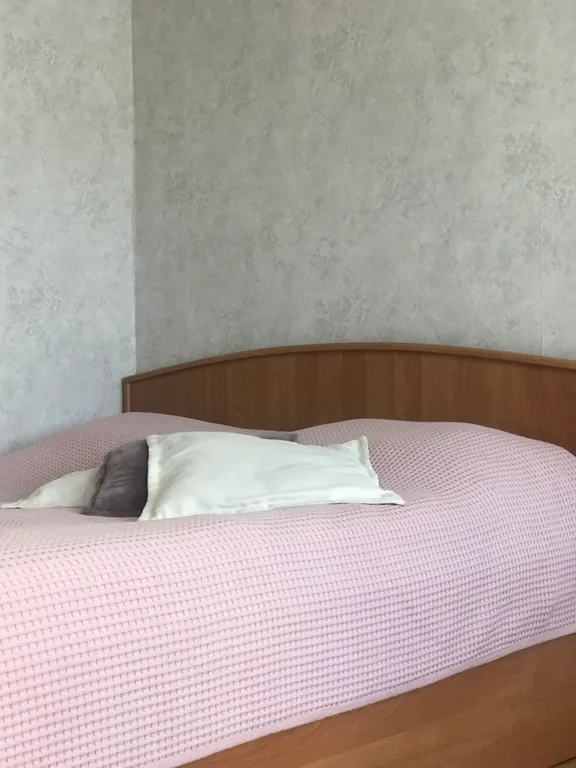 Уютная квартира в центре города вблизи острова Канта