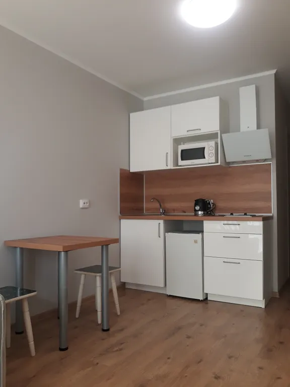 Уютная студия у метро Парнас