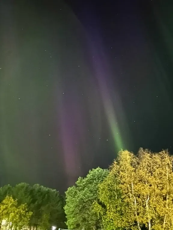 Уютная квартира в лесном посёлке в 64 километрах от Мурманска