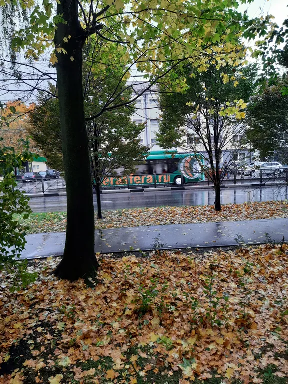 Квартира в центре рядом с парком, озером, центральным рынком и вокзалом