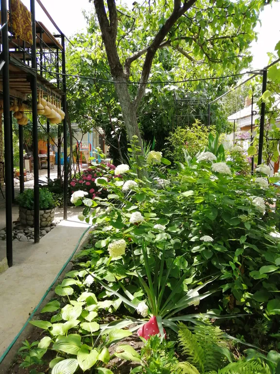 Квартира Комната — Феодосия