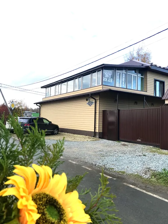 Кошкин дом в Комарово