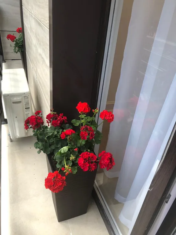 Квартира Квартира в самом сердце Адлера — Сочи