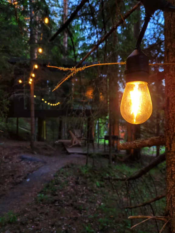 Коттедж комфорт класса с видом на лес