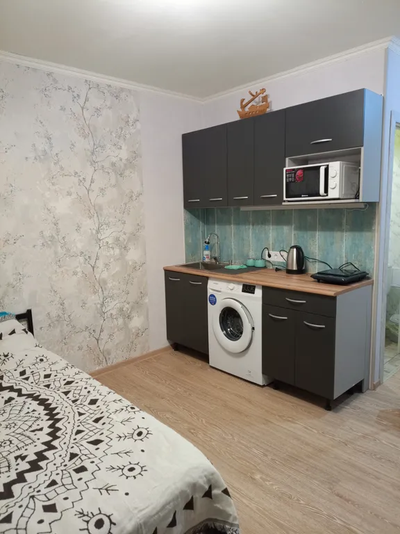 Уютная студия в центре города