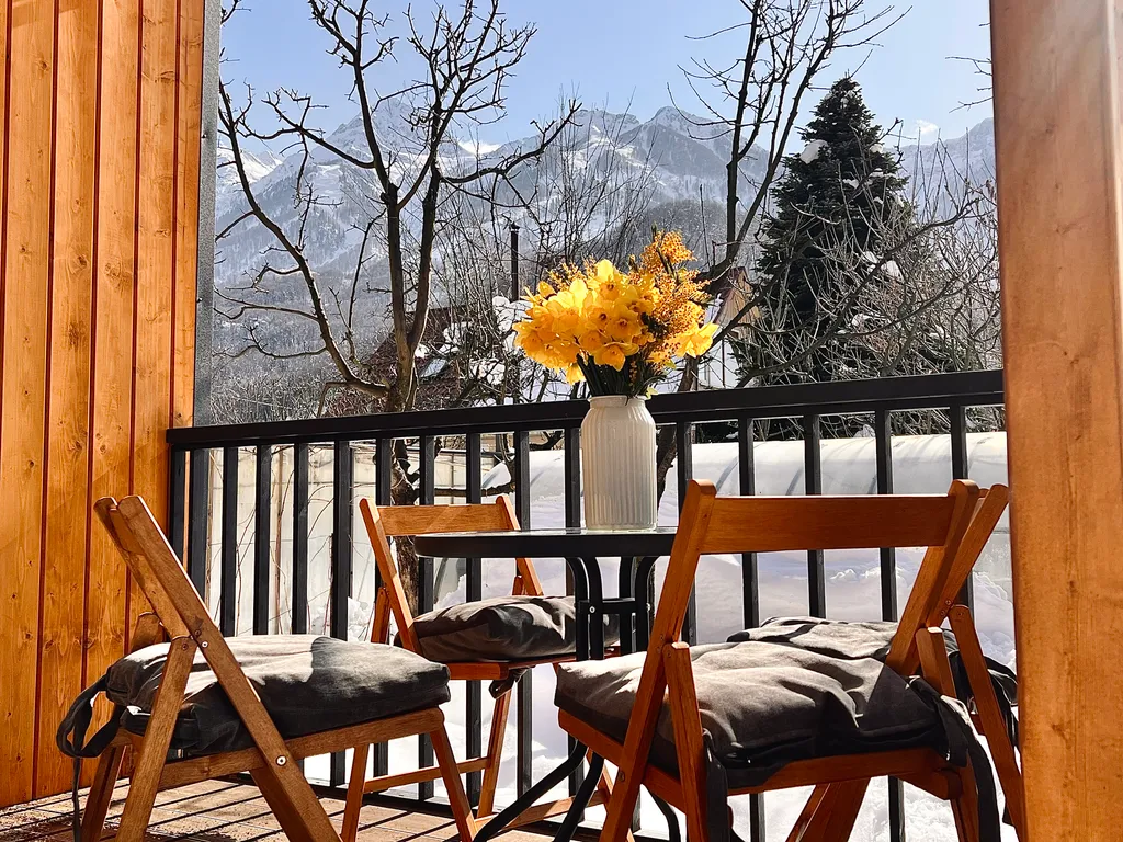 Дом Земля с домашним кинотеатром и Алисой в 7 минутах от подъемника 2