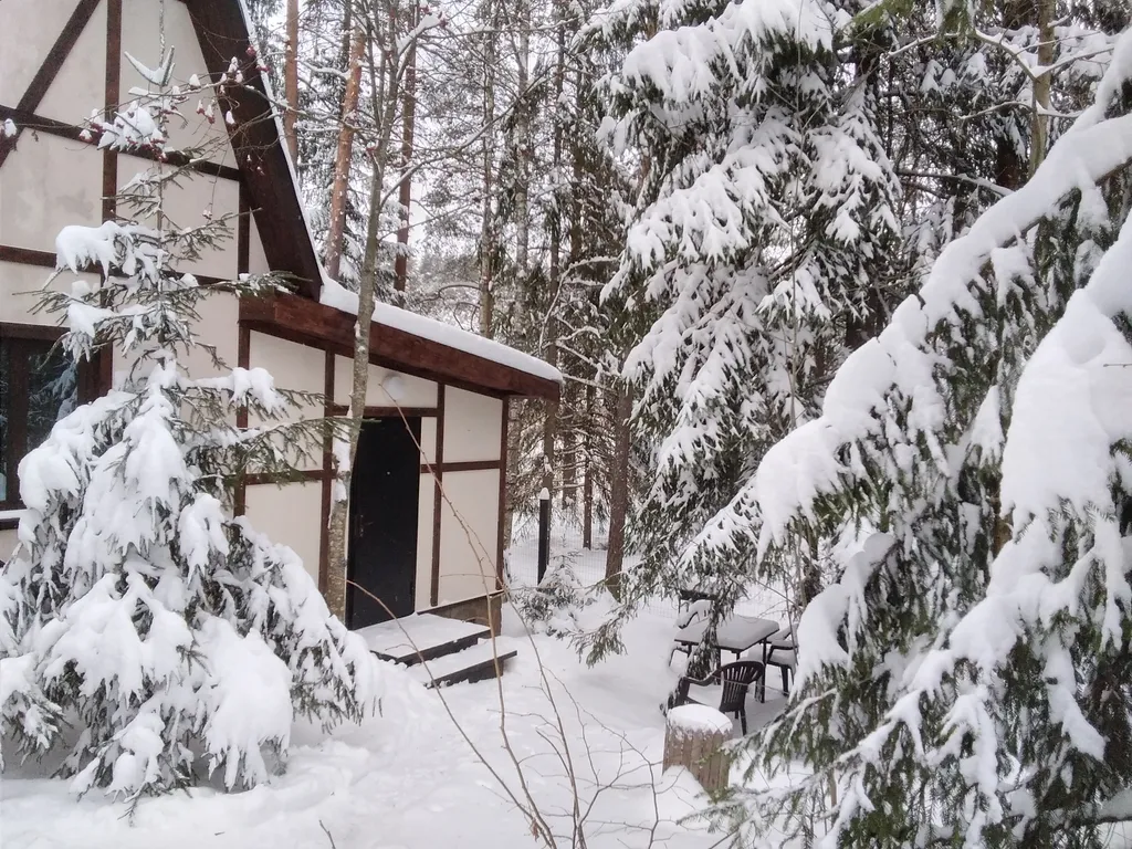 Уютный флигель у озера Большое Борково