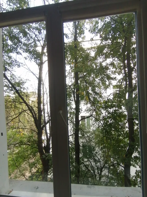 Квартира Квартира Цветущая вишня студия — Ярославль