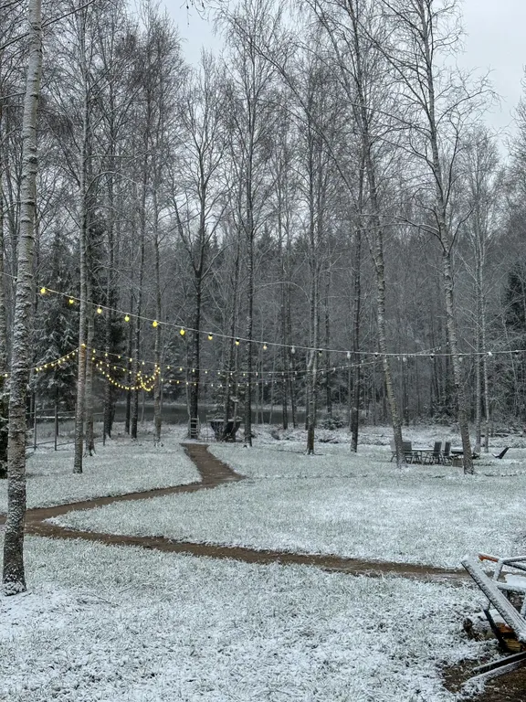 Уютный дом нa бeрегу лесногo озeра 2