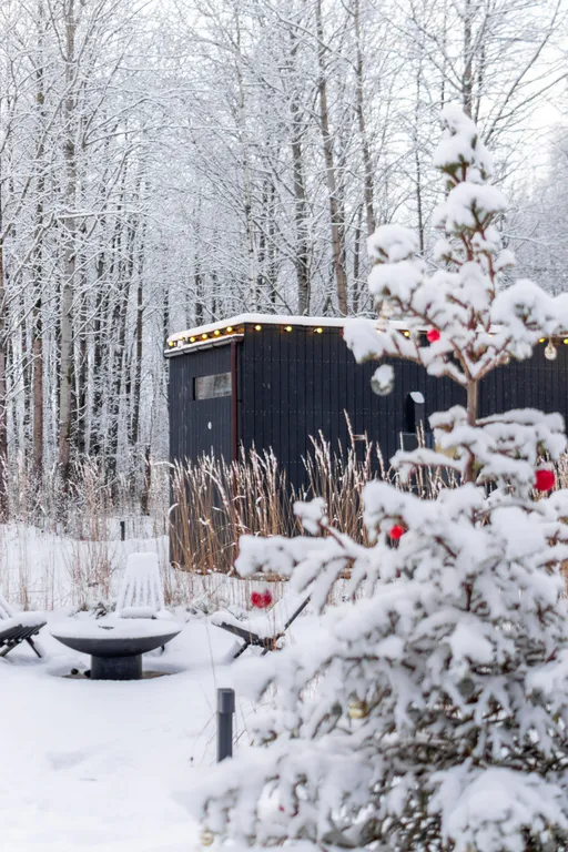 Коттедж Уютный двухуровневный домик с панорамными окнами на лес — Глинка