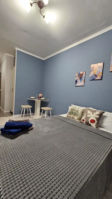 Уютная студия в центре